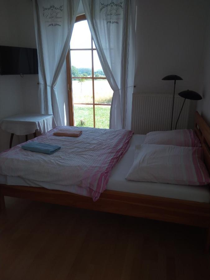 Ferienwohnung Dvur V Borovne Borovná Exterior foto